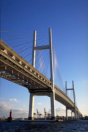 即日車検で愛車の問題を解決できる