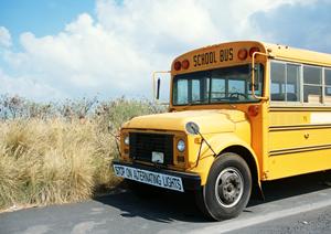 ボディカバーを選ぶポイントとは？