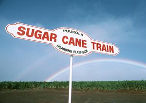 みよし車検で快適な車ライフを実現！スピーディで安心なサービスガイド