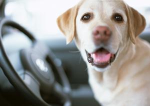 フォークリフトレンタルの申し込み方法